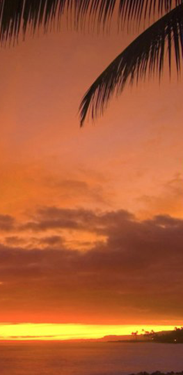 Хиты продаж