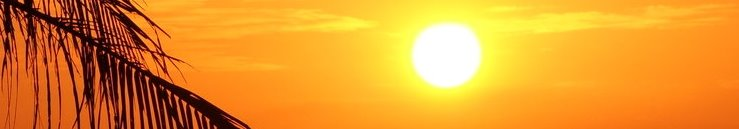 Хиты продаж